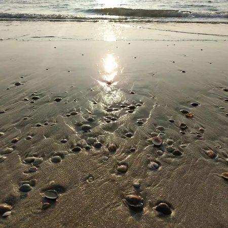 Knus Met Prachtige Nieuwe Badkamer - Distelhoek *