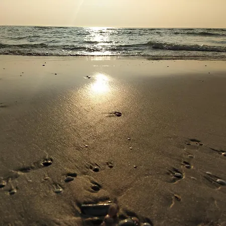 Knus Met Prachtige Nieuwe Badkamer - Distelhoek * Эгмонд-ан-Зее