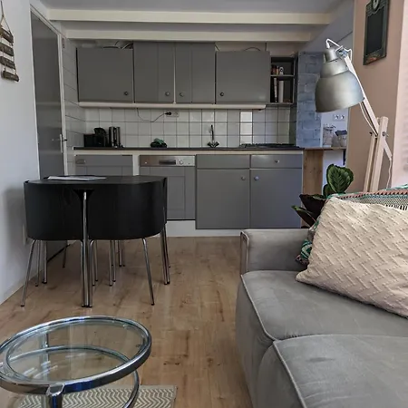 Knus Met Prachtige Nieuwe Badkamer - Distelhoek Ferienhaus