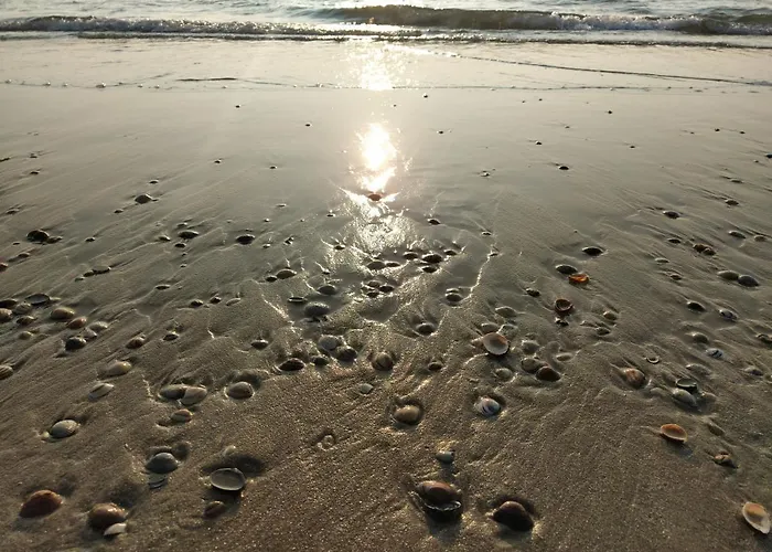 Knus Met Prachtige Nieuwe Badkamer - Distelhoek *