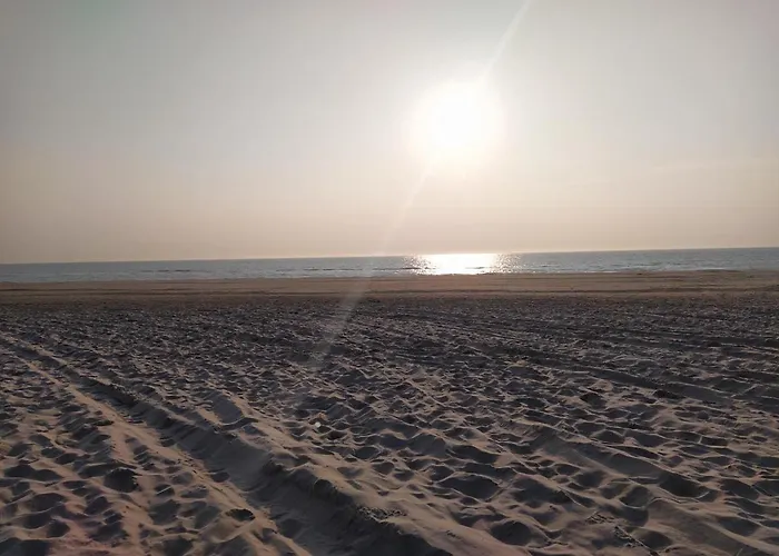 Vakantiehuis Knus Met Prachtige Nieuwe Badkamer - Distelhoek *