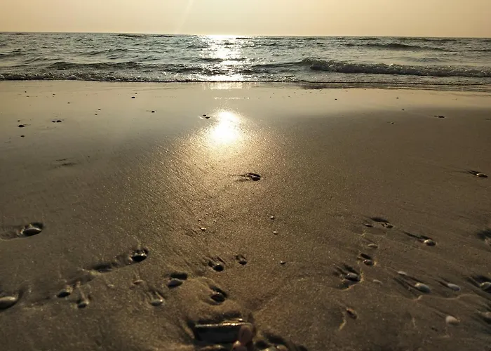 Knus Met Prachtige Nieuwe Badkamer - Distelhoek * Egmond aan Zee
