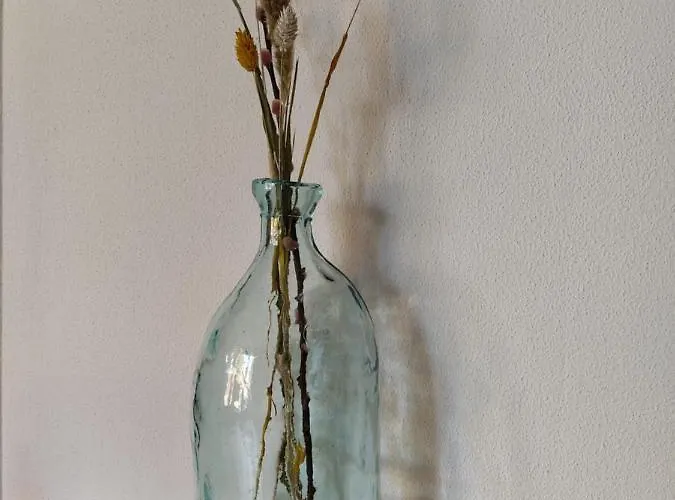 Knus Met Prachtige Nieuwe Badkamer - Distelhoek